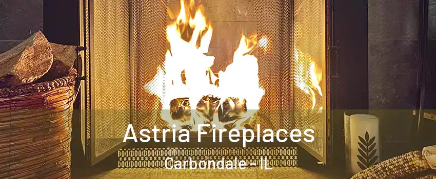  Astria Fireplaces Carbondale - IL