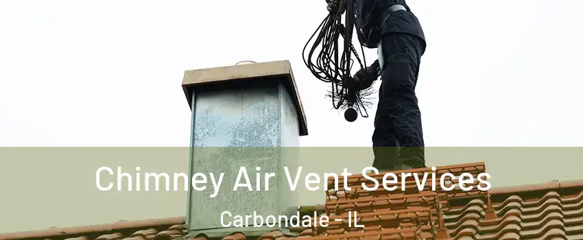 Chimney Air Vent Services Carbondale - IL