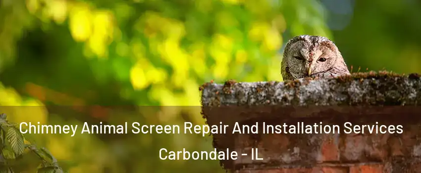  Chimney Animal Screen Repair And Installation Services Carbondale - IL