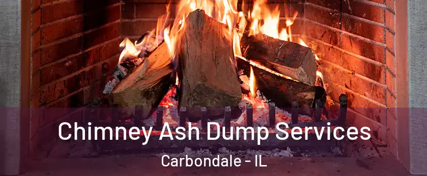  Chimney Ash Dump Services Carbondale - IL