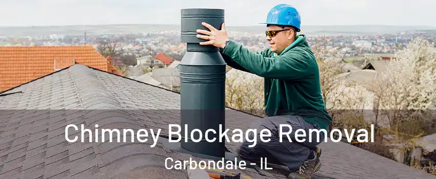  Chimney Blockage Removal Carbondale - IL