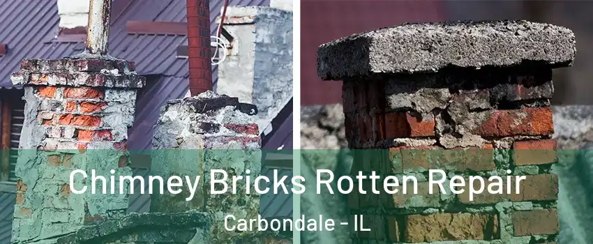  Chimney Bricks Rotten Repair Carbondale - IL