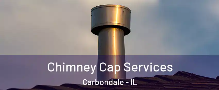  Chimney Cap Services Carbondale - IL