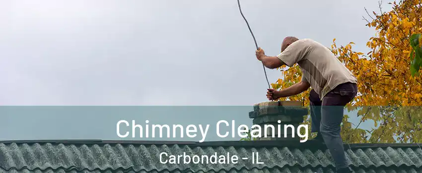  Chimney Cleaning Carbondale - IL