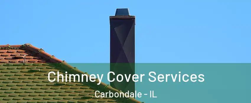 Chimney Cover Services Carbondale - IL