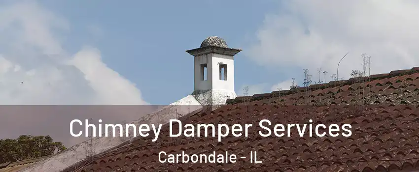  Chimney Damper Services Carbondale - IL