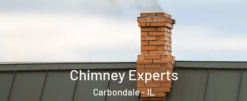  Chimney Experts Carbondale - IL
