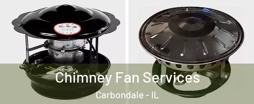  Chimney Fan Services Carbondale - IL