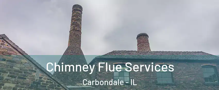  Chimney Flue Services Carbondale - IL