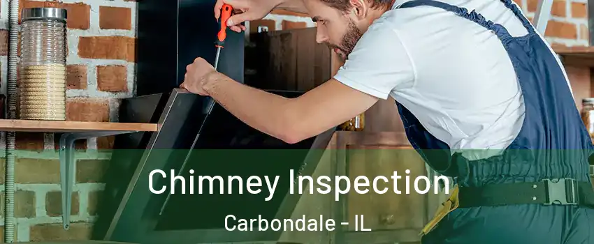  Chimney Inspection Carbondale - IL