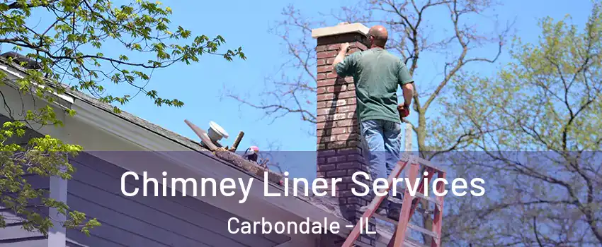  Chimney Liner Services Carbondale - IL