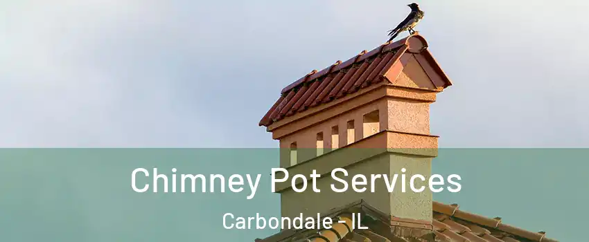  Chimney Pot Services Carbondale - IL