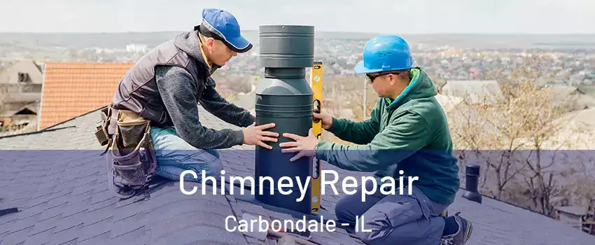  Chimney Repair Carbondale - IL