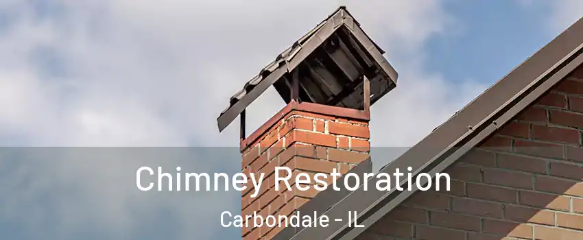  Chimney Restoration Carbondale - IL