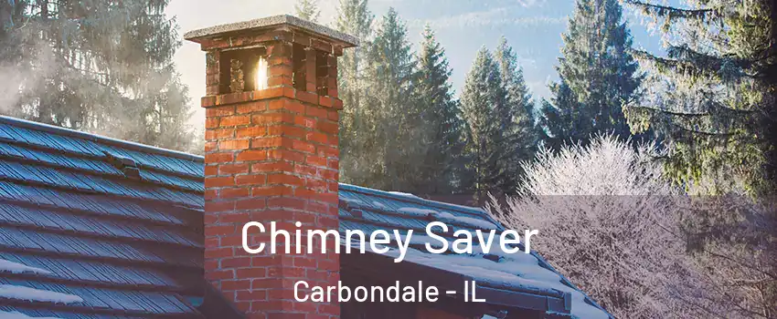  Chimney Saver Carbondale - IL