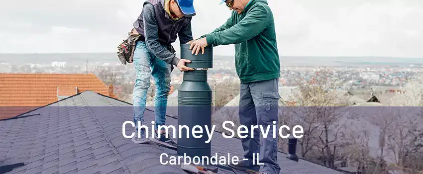  Chimney Service Carbondale - IL