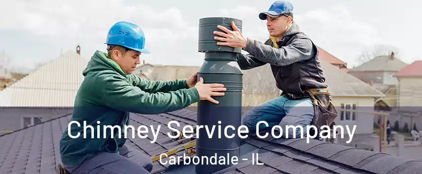  Chimney Service Company Carbondale - IL