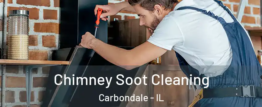  Chimney Soot Cleaning Carbondale - IL