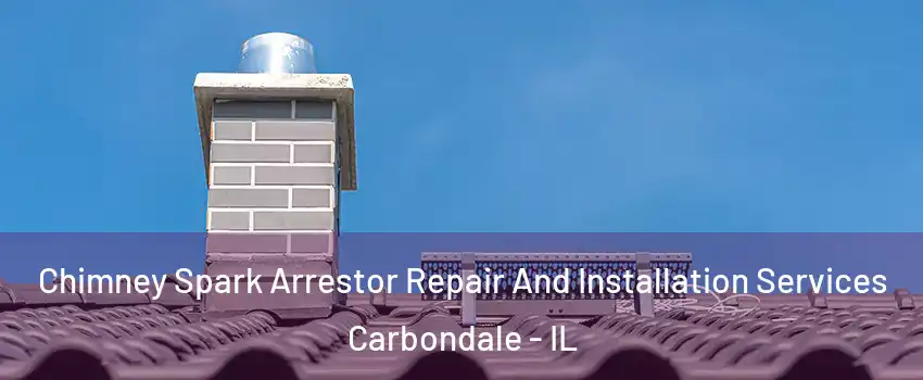  Chimney Spark Arrestor Repair And Installation Services Carbondale - IL