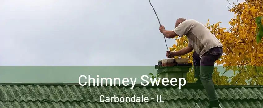  Chimney Sweep Carbondale - IL
