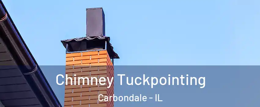  Chimney Tuckpointing Carbondale - IL