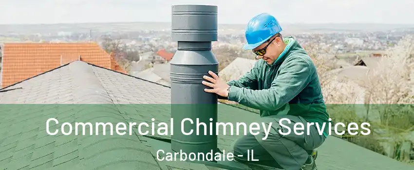  Commercial Chimney Services Carbondale - IL