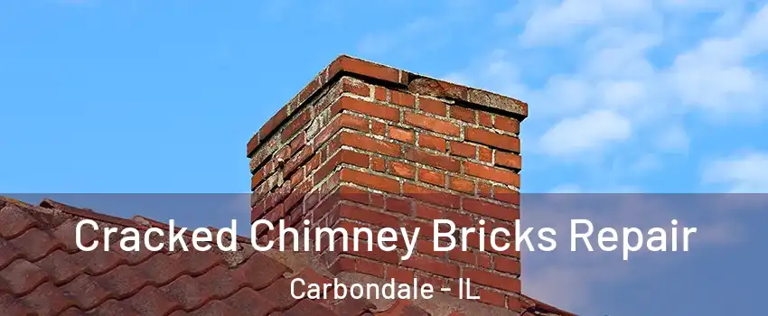  Cracked Chimney Bricks Repair Carbondale - IL
