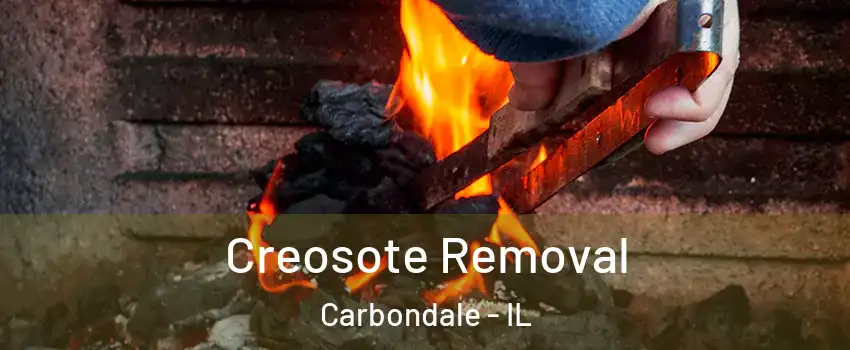 Creosote Removal Carbondale - IL