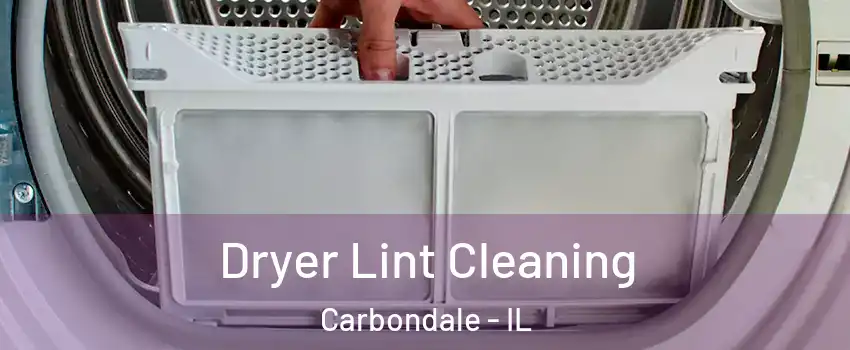  Dryer Lint Cleaning Carbondale - IL