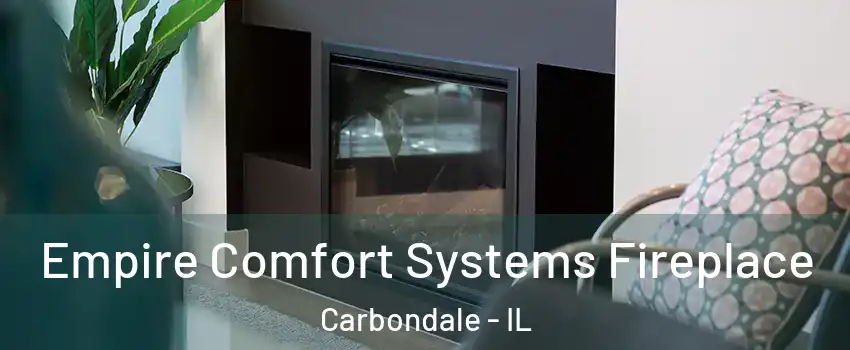  Empire Comfort Systems Fireplace Carbondale - IL