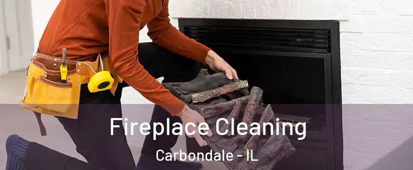  Fireplace Cleaning Carbondale - IL