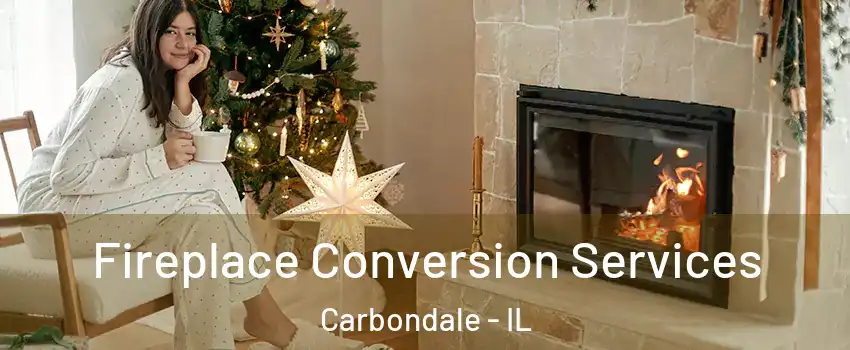  Fireplace Conversion Services Carbondale - IL