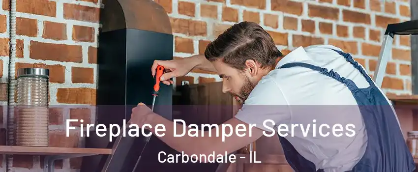  Fireplace Damper Services Carbondale - IL