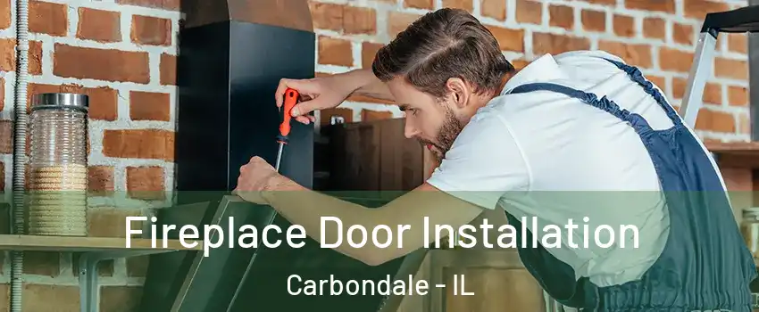  Fireplace Door Installation Carbondale - IL