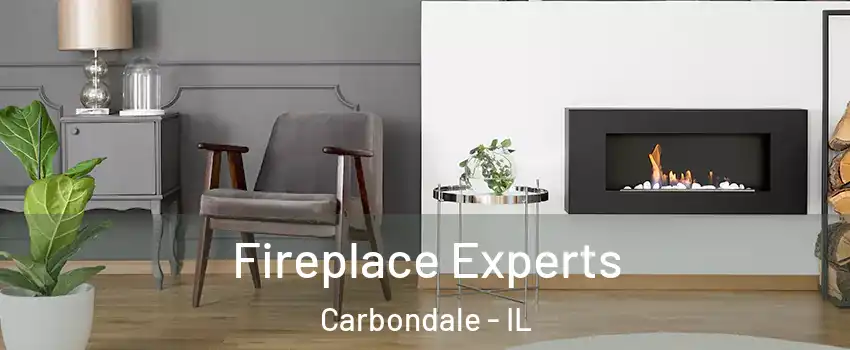  Fireplace Experts Carbondale - IL