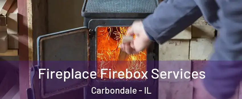 Fireplace Firebox Services Carbondale - IL