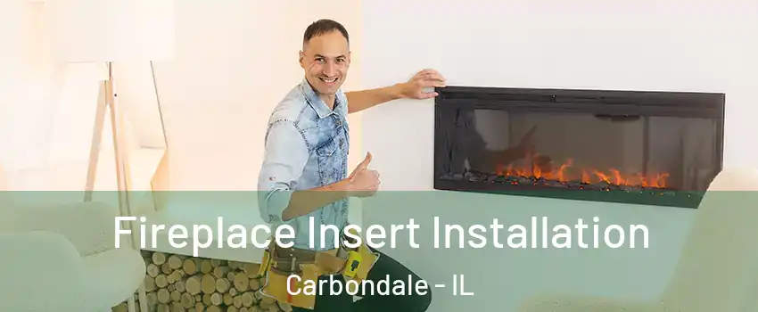  Fireplace Insert Installation Carbondale - IL