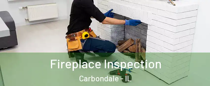  Fireplace Inspection Carbondale - IL