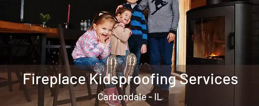  Fireplace Kidsproofing Services Carbondale - IL