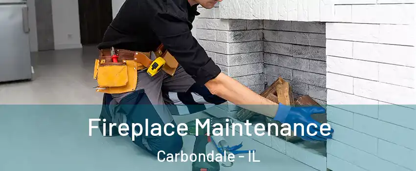  Fireplace Maintenance Carbondale - IL