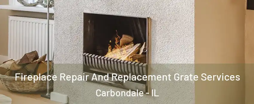 Fireplace Repair And Replacement Grate Services Carbondale - IL