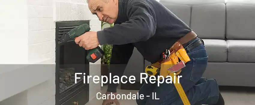  Fireplace Repair Carbondale - IL