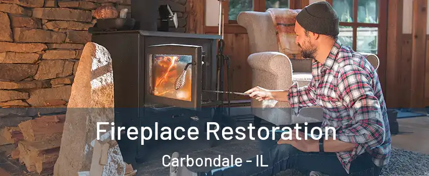 Fireplace Restoration Carbondale - IL