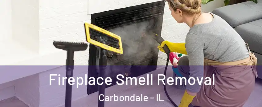  Fireplace Smell Removal Carbondale - IL