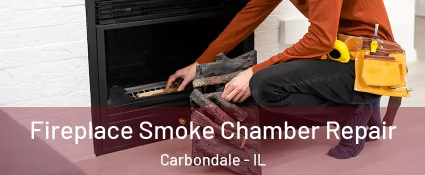  Fireplace Smoke Chamber Repair Carbondale - IL