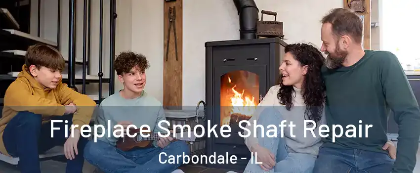  Fireplace Smoke Shaft Repair Carbondale - IL
