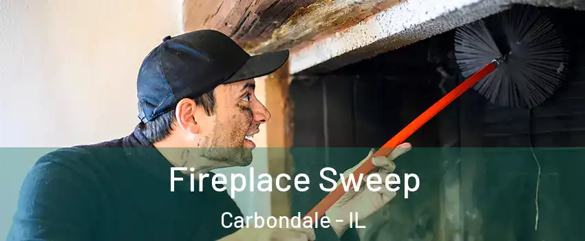  Fireplace Sweep Carbondale - IL