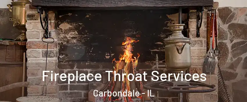  Fireplace Throat Services Carbondale - IL