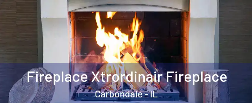  Fireplace Xtrordinair Fireplace Carbondale - IL