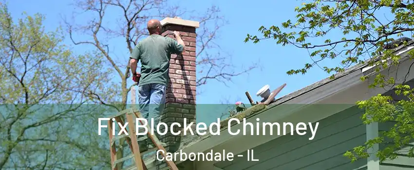  Fix Blocked Chimney Carbondale - IL